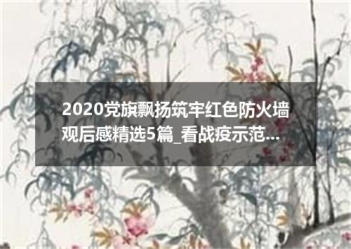 2020党旗飘扬筑牢红色防火墙观后感精选5篇_看战疫示范微党课有感