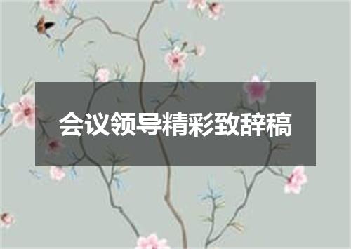 会议领导精彩致辞稿