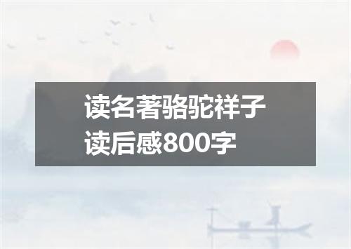 读名著骆驼祥子读后感800字
