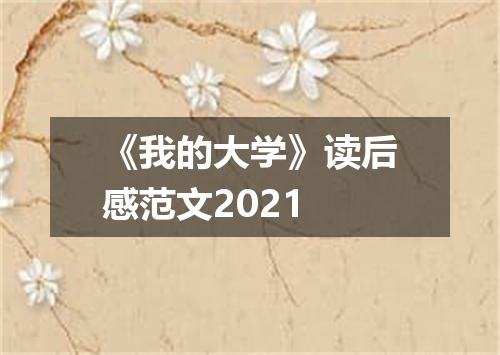 《我的大学》读后感范文2021