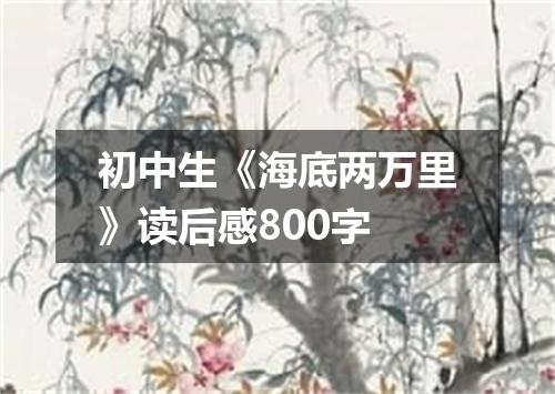 初中生《海底两万里》读后感800字