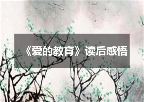 《爱的教育》读后感悟