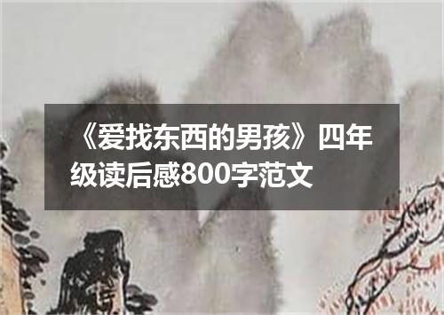 《爱找东西的男孩》四年级读后感800字范文