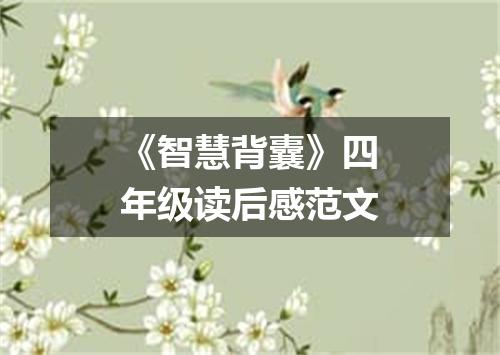 《智慧背囊》四年级读后感范文