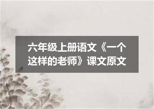 六年级上册语文《一个这样的老师》课文原文