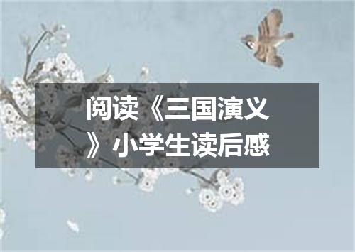 阅读《三国演义》小学生读后感