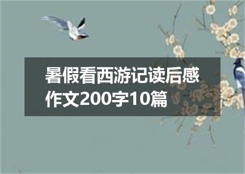 暑假看西游记读后感作文200字10篇