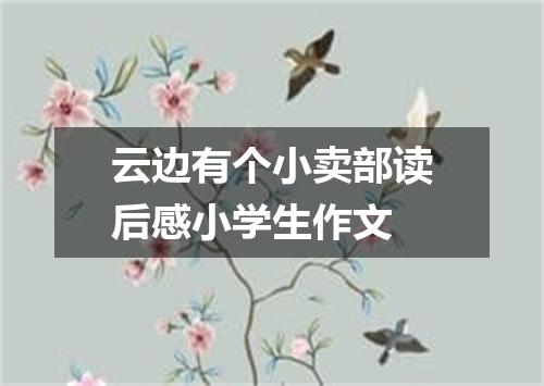 云边有个小卖部读后感小学生作文
