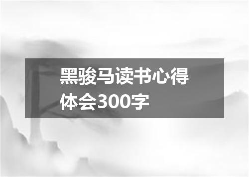 黑骏马读书心得体会300字