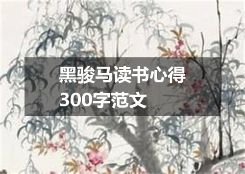 黑骏马读书心得300字范文