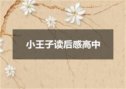 小王子读后感高中