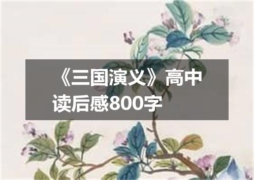 《三国演义》高中读后感800字