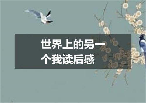 世界上的另一个我读后感