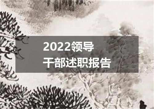 2022领导干部述职报告