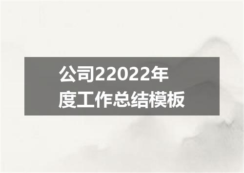 公司22022年度工作总结模板