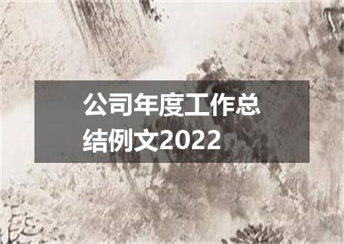 公司年度工作总结例文2022