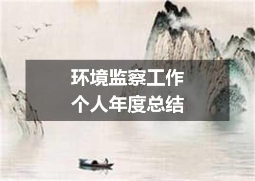 环境监察工作个人年度总结