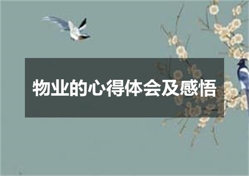 物业的心得体会及感悟