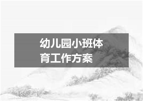 幼儿园小班体育工作方案