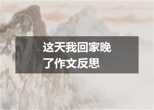 这天我回家晚了作文反思