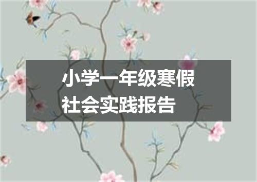 小学一年级寒假社会实践报告