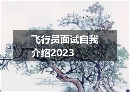 飞行员面试自我介绍2023