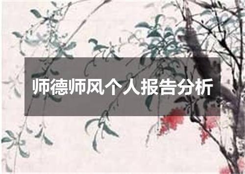 师德师风个人报告分析