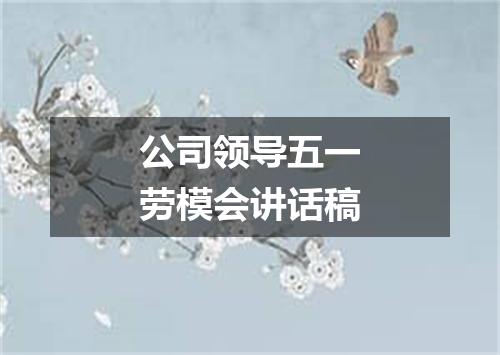 公司领导五一劳模会讲话稿