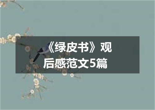 《绿皮书》观后感范文5篇