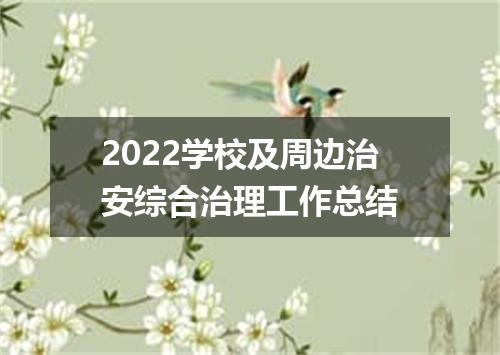 2022学校及周边治安综合治理工作总结
