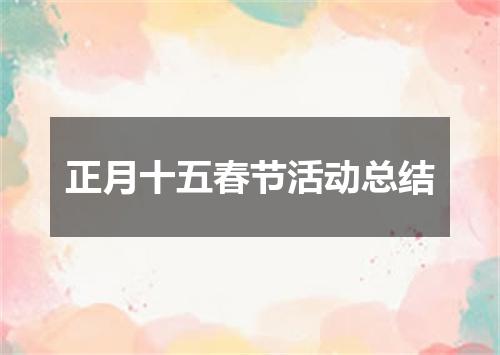 正月十五春节活动总结