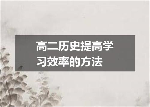 高二历史提高学习效率的方法