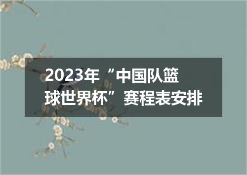 2023年“中国队篮球世界杯”赛程表安排