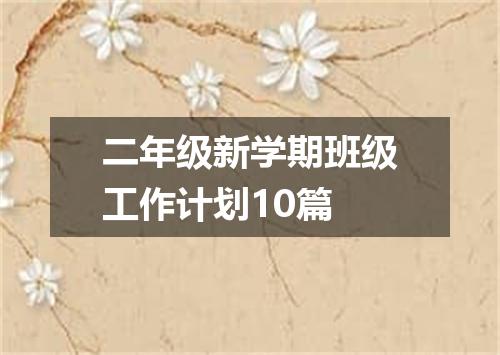 二年级新学期班级工作计划10篇