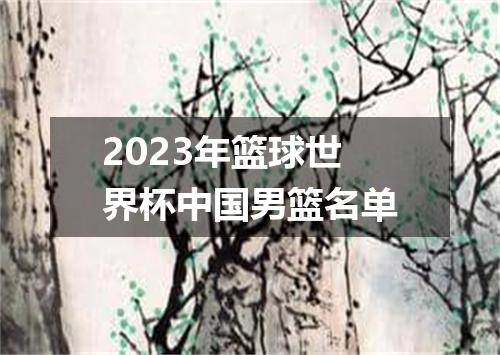 2023年篮球世界杯中国男篮名单