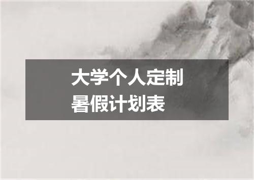 大学个人定制暑假计划表