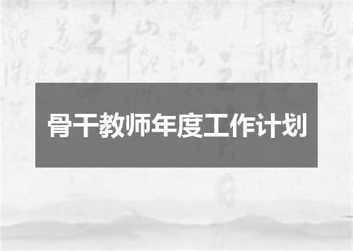 骨干教师年度工作计划