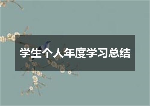 学生个人年度学习总结