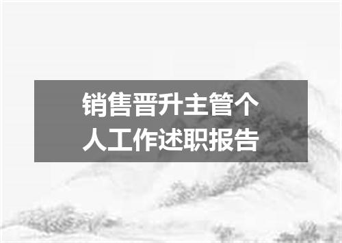 销售晋升主管个人工作述职报告