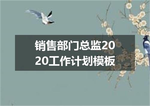 销售部门总监2020工作计划模板