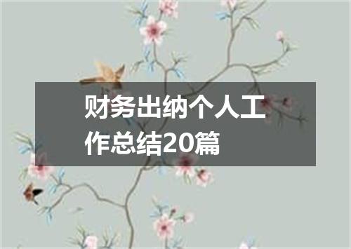 财务出纳个人工作总结20篇
