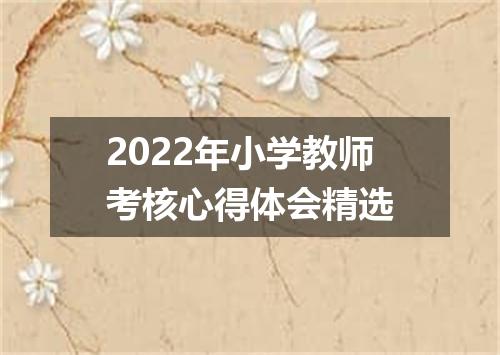 2022年小学教师考核心得体会精选
