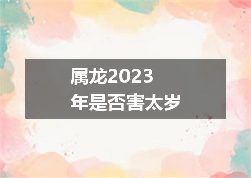 属龙2023年是否害太岁
