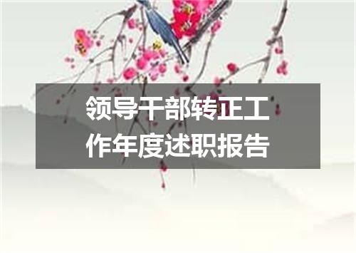 领导干部转正工作年度述职报告