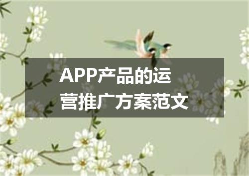 APP产品的运营推广方案范文