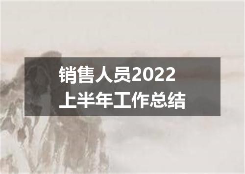 销售人员2022上半年工作总结