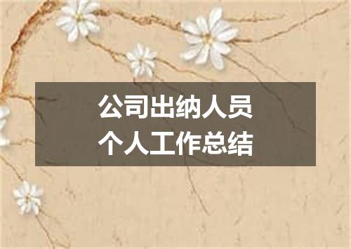 公司出纳人员个人工作总结