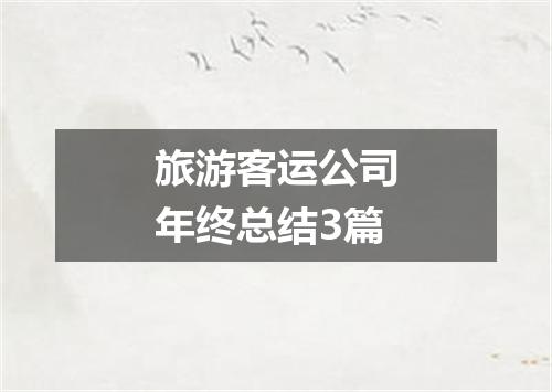 旅游客运公司年终总结3篇