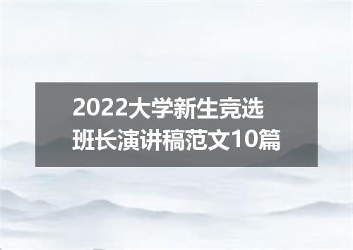 2022大学新生竞选班长演讲稿范文10篇