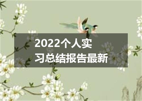 2022个人实习总结报告最新